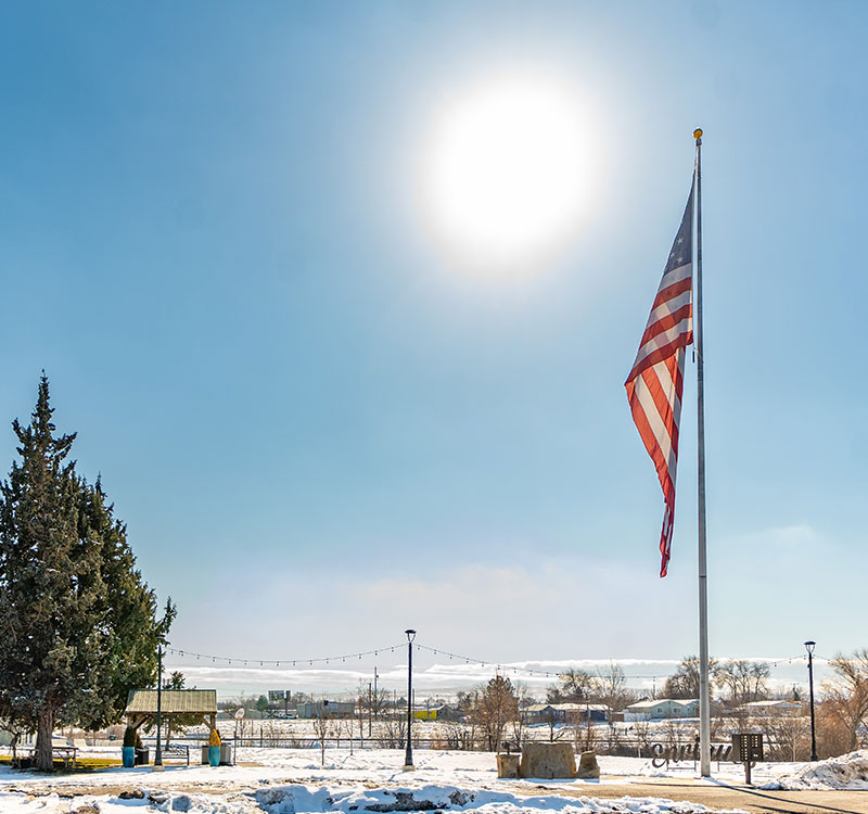 The American flag on a post with a bright blue sky in the background. The ground is covered in light snow with a bushy green tree.