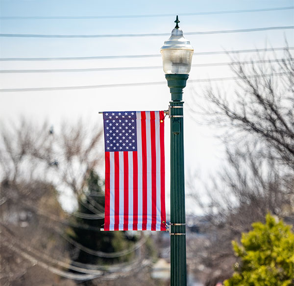 American Flag banner on light pole with a landscape in the background.