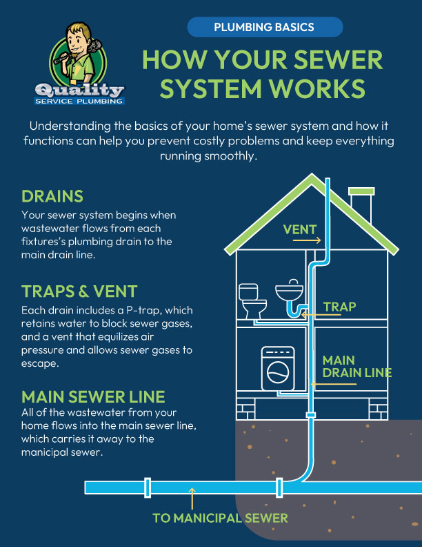 Plumbing Basics. How your Sewer System Works infographic.