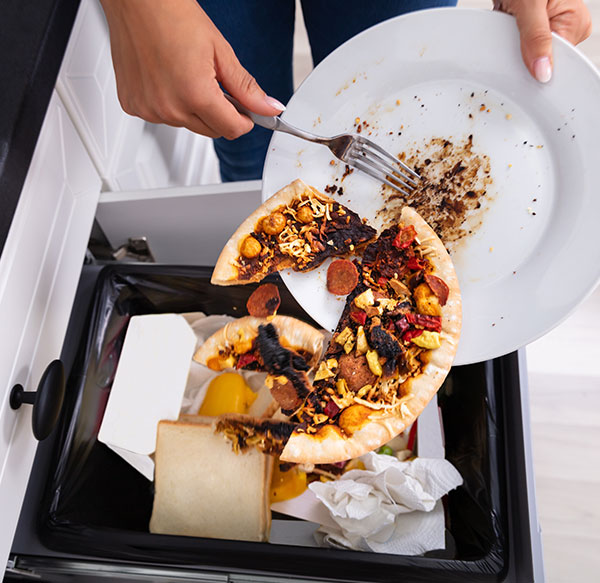 Food scraps being scraped from a plate into the garbage. Scrape food into garbage, instead of garbage disposal.